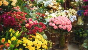 ABC Reports Demand for Australian Native Flowers Is Surging — Why Florists Are Ditching Imported Roses