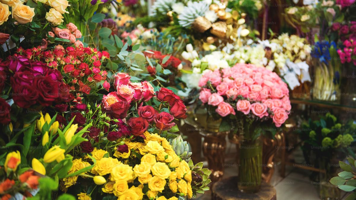 ABC Reports Demand for Australian Native Flowers Is Surging — Why Florists Are Ditching Imported Roses