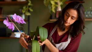 Common Mistakes That Shorten the Life of Cut Flowers