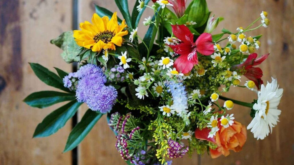 Florists Say Most People Kill Their Fresh Flowers in the First 24 Hours — The 5-Minute Rule That Doubles Vase Life