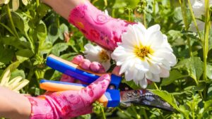 Voluntary Fumigation of Fresh Cut Flowers and Foliage in 2026: What You Need to Know